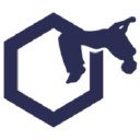 SALTOS Park Trampolin - logo