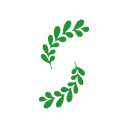 Salvus - logo