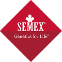 Semex - logo