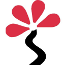 SIPLEX Studio - logo