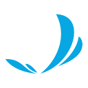 Sky Clinic - logo