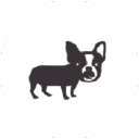 sleepless in Warsaw - logo