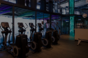 STAR GYM - logo