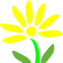 Stokrotka Centrum Logopedyczno-Terapeutyczne dla dzieci i dorosłych - logo