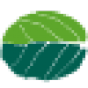Świeża Bazylia - logo