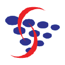 Systems Solutions - logo