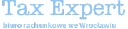 Tax Expert - logo