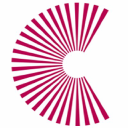 The Connection - logo