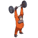 The Jungle Gym - logo