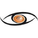 TigerTeamConsulting - logo
