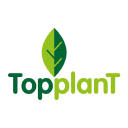 TopplanT - logo