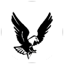 Trans-Voyager Borowscy - logo