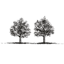 Two Trees Management - logo