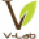 V-Lab - logo