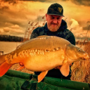 Viking Carp Fishing - logo