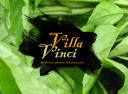 Villa Vinci - logo