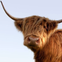 VisitScotland - logo
