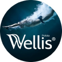 WellisPolska - logo