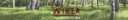 Wiker - logo