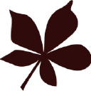 Woodland Survival Crafts - logo