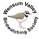 WVBS - logo