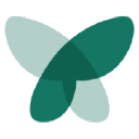 Yavo - logo