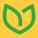 Zdrove - logo