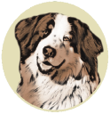 Zoodelikatesy - logo