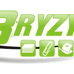 3ryzy - logo