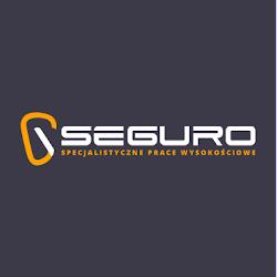 Seguro - logo