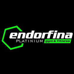 Endorfina starachowice - logo