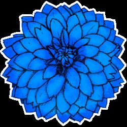 Bloomcreativestudios - logo