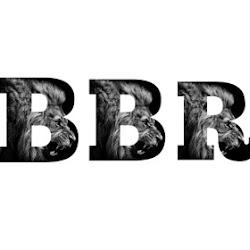 Bbremodelingmn - logo