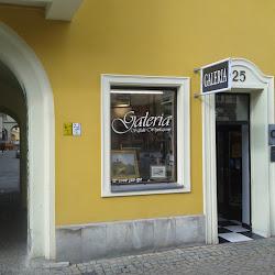 Galeriafaligowskich - logo