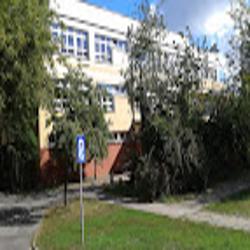 Torderm - logo