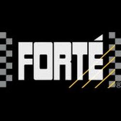 Forte polska - logo