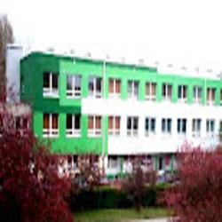 Drzewniak - logo