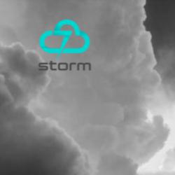 Stormgroupinc - logo