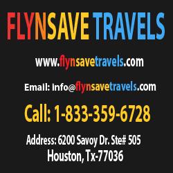 Flynsavetravels - logo