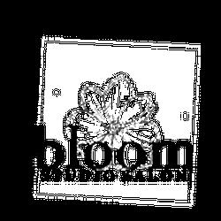 Bloomhairstudiosalon - logo
