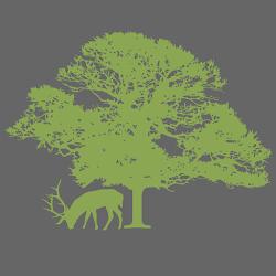 Elkgroveins - logo