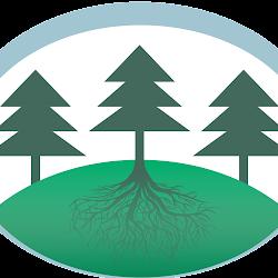 Valleyenvironmental - logo