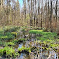 Parkiotwock - logo