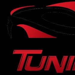 Chiptuningpro - logo