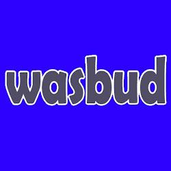 Wasbud - logo