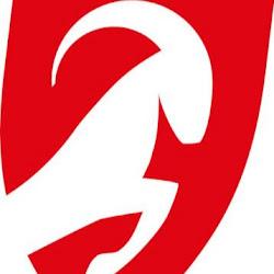 Bhpsprinters - logo