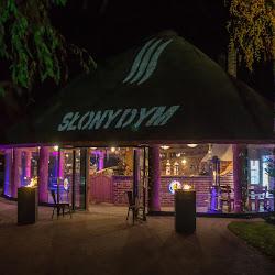 Slonydym - logo