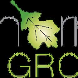 Hawthornemediagroup - logo