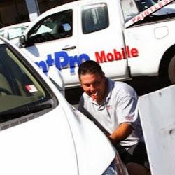 Dentpromobile - logo