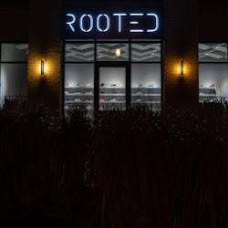 Stay rooted - logo